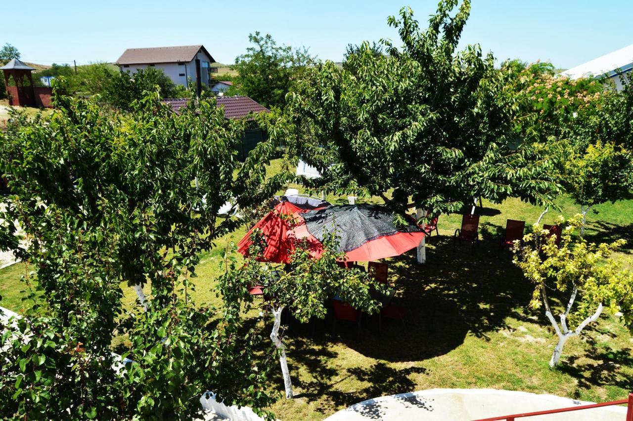 Pensiunea Zelezneac Hotel Baltenii de Sus Exterior photo